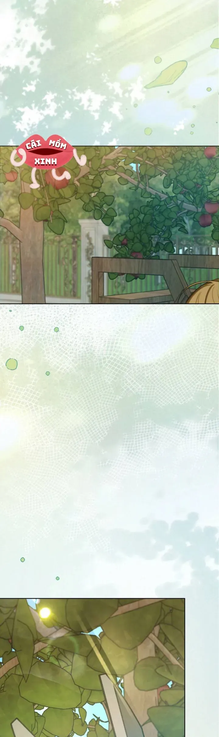 Khi Người Chồng Cũ Của Tôi Đòi Tái Hợp Chương 12 - Trang 34