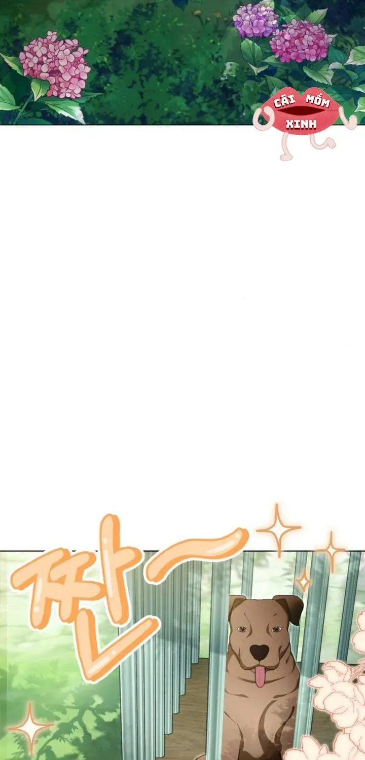 Khi Người Chồng Cũ Của Tôi Đòi Tái Hợp Chương 13 - Trang 103