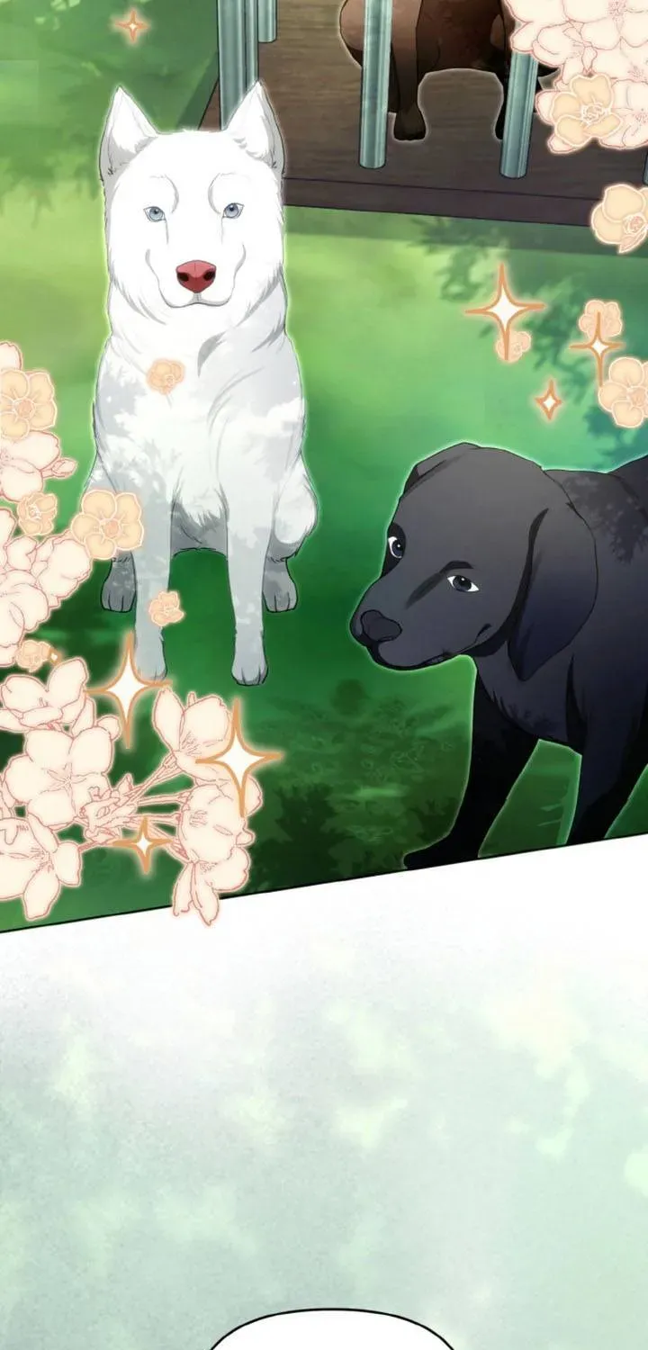 Khi Người Chồng Cũ Của Tôi Đòi Tái Hợp Chương 13 - Trang 104