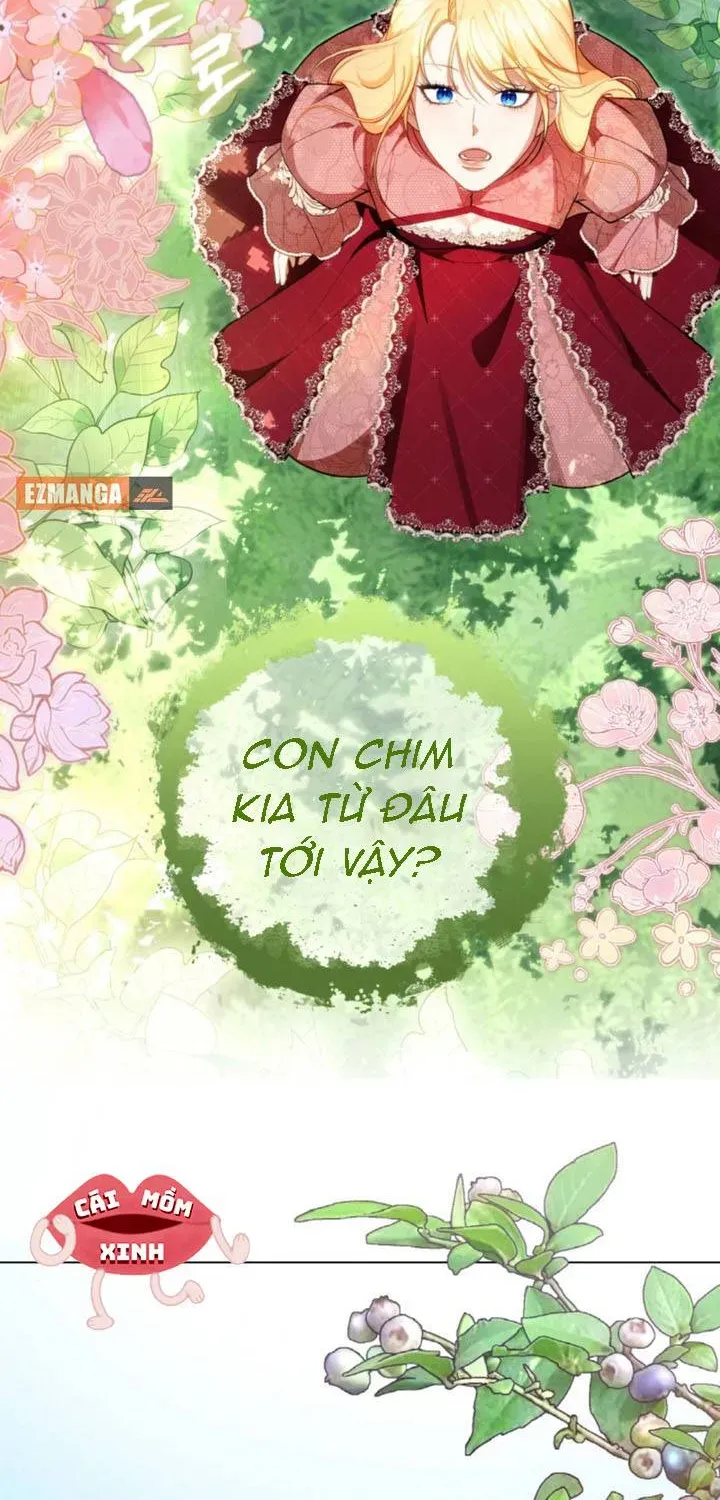 Khi Người Chồng Cũ Của Tôi Đòi Tái Hợp Chương 13 - Trang 49