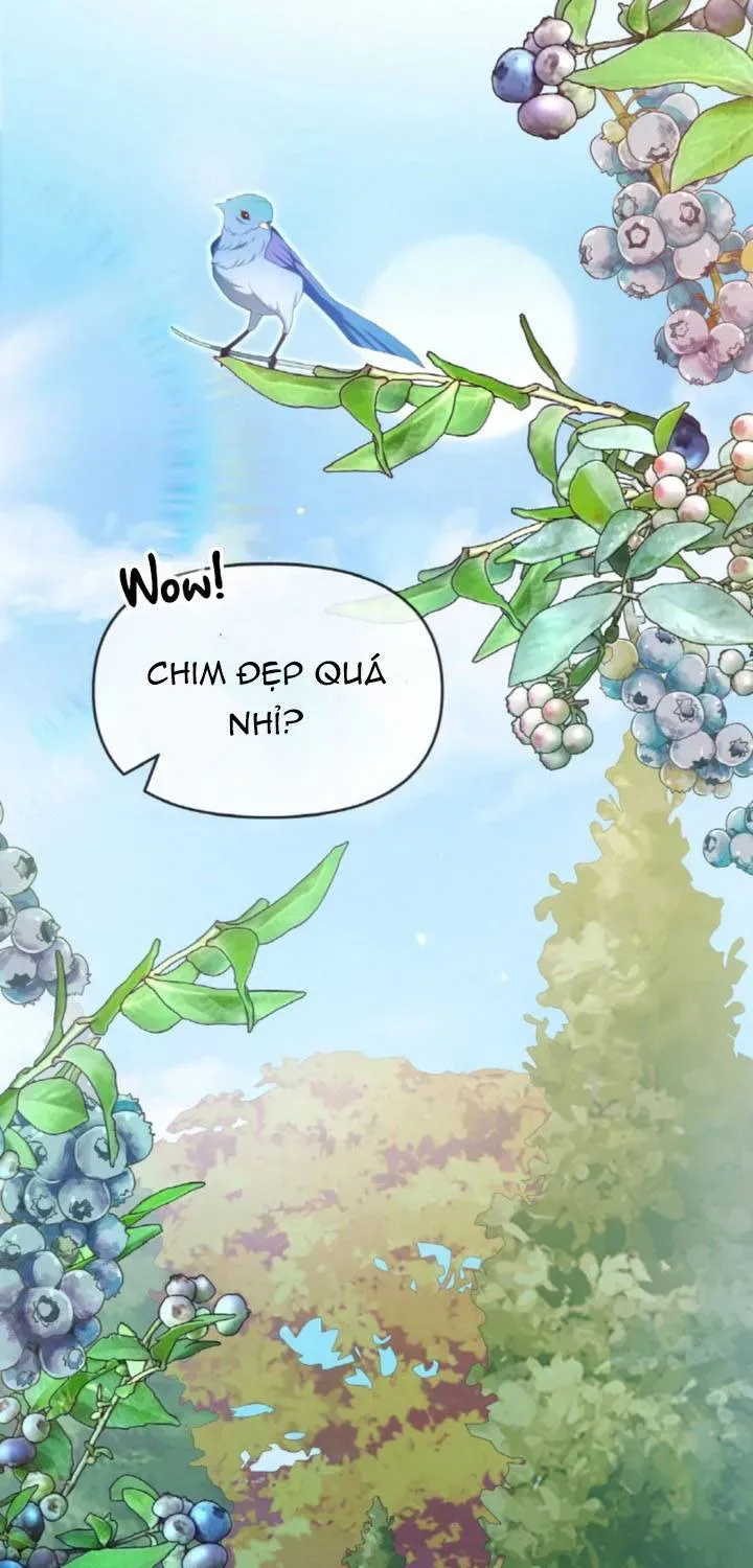 Khi Người Chồng Cũ Của Tôi Đòi Tái Hợp Chương 13 - Trang 50