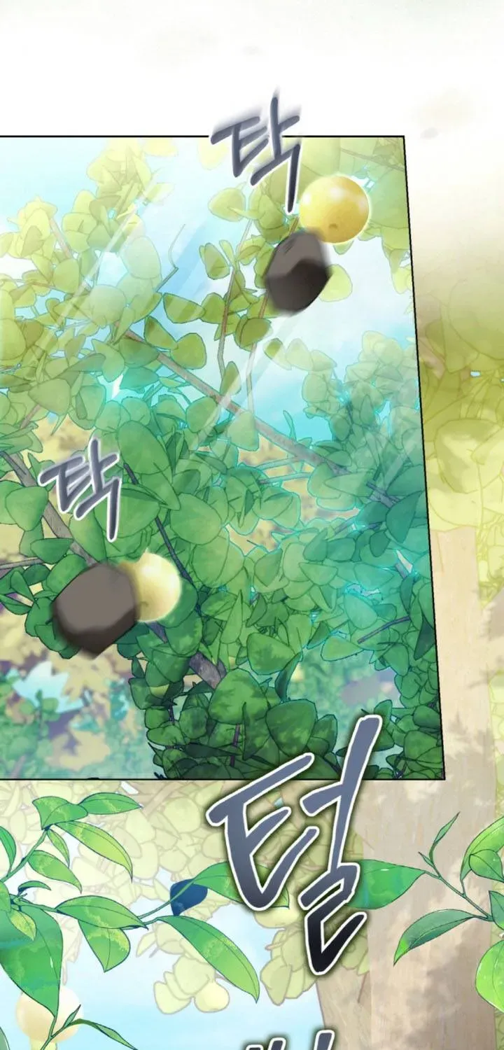 Khi Người Chồng Cũ Của Tôi Đòi Tái Hợp Chương 13 - Trang 81