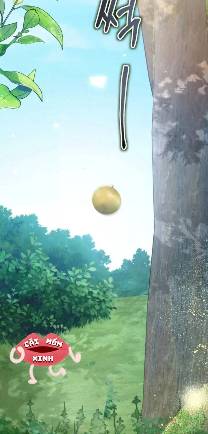 Khi Người Chồng Cũ Của Tôi Đòi Tái Hợp Chương 13 - Trang 82