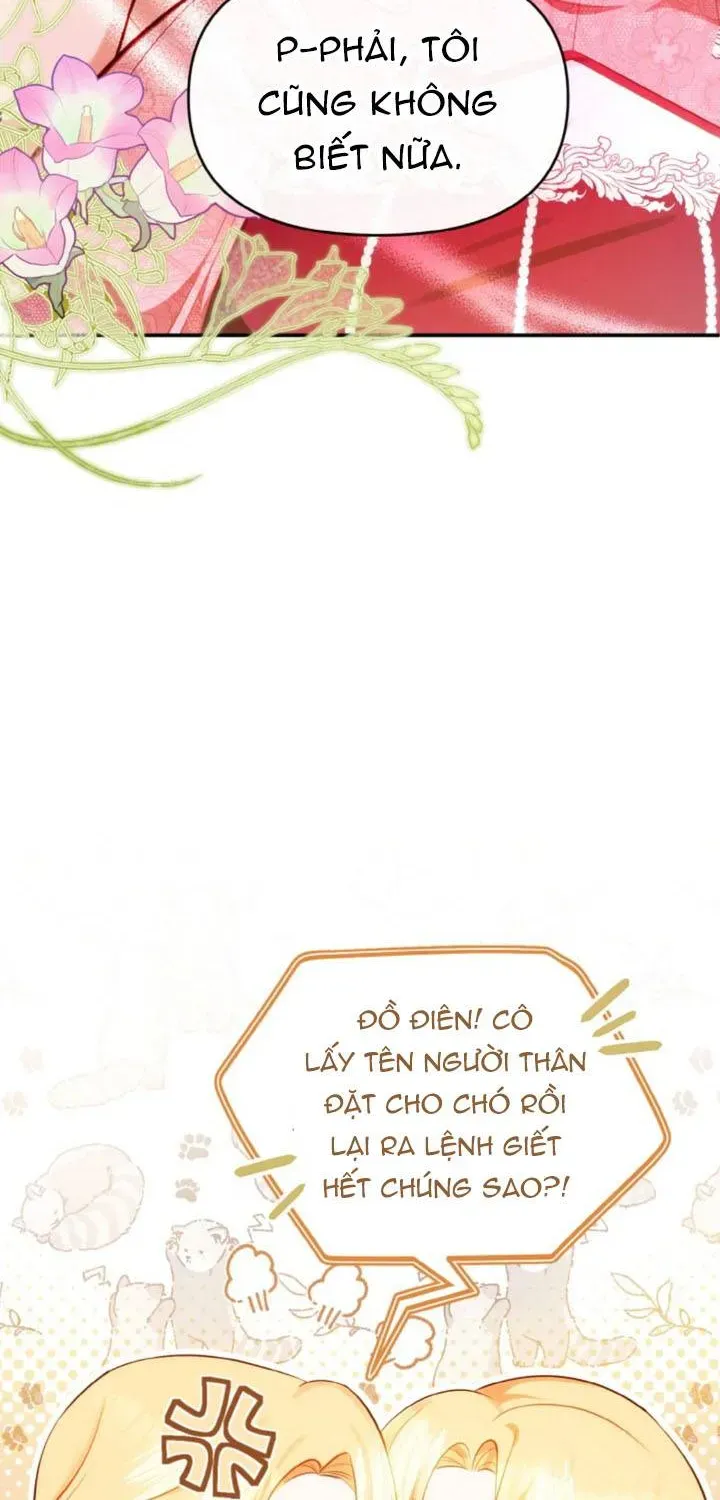 Khi Người Chồng Cũ Của Tôi Đòi Tái Hợp Chương 14 - Trang 13