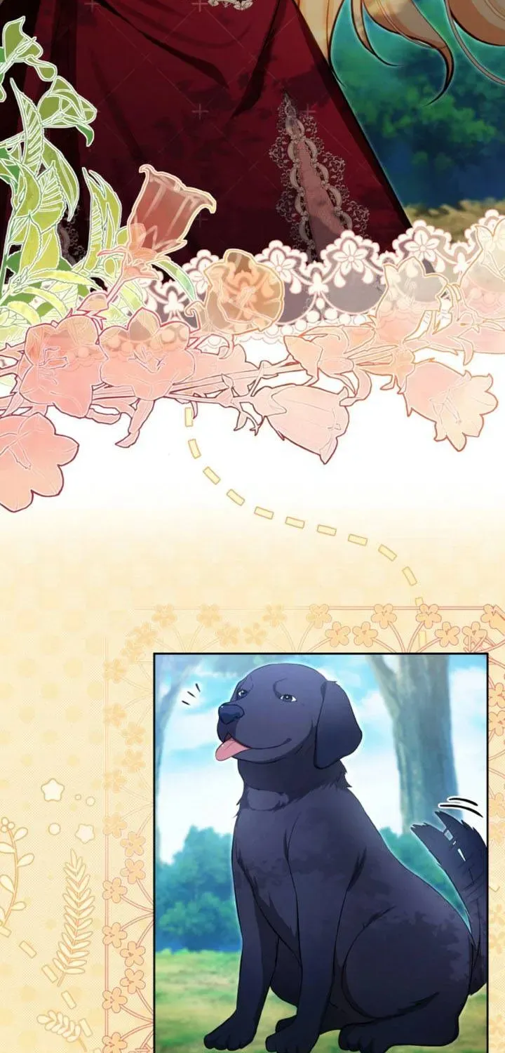 Khi Người Chồng Cũ Của Tôi Đòi Tái Hợp Chương 14 - Trang 16