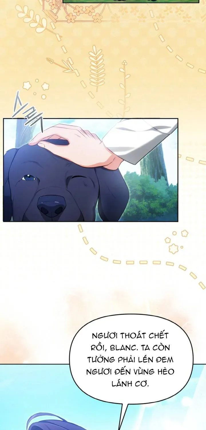 Khi Người Chồng Cũ Của Tôi Đòi Tái Hợp Chương 14 - Trang 17