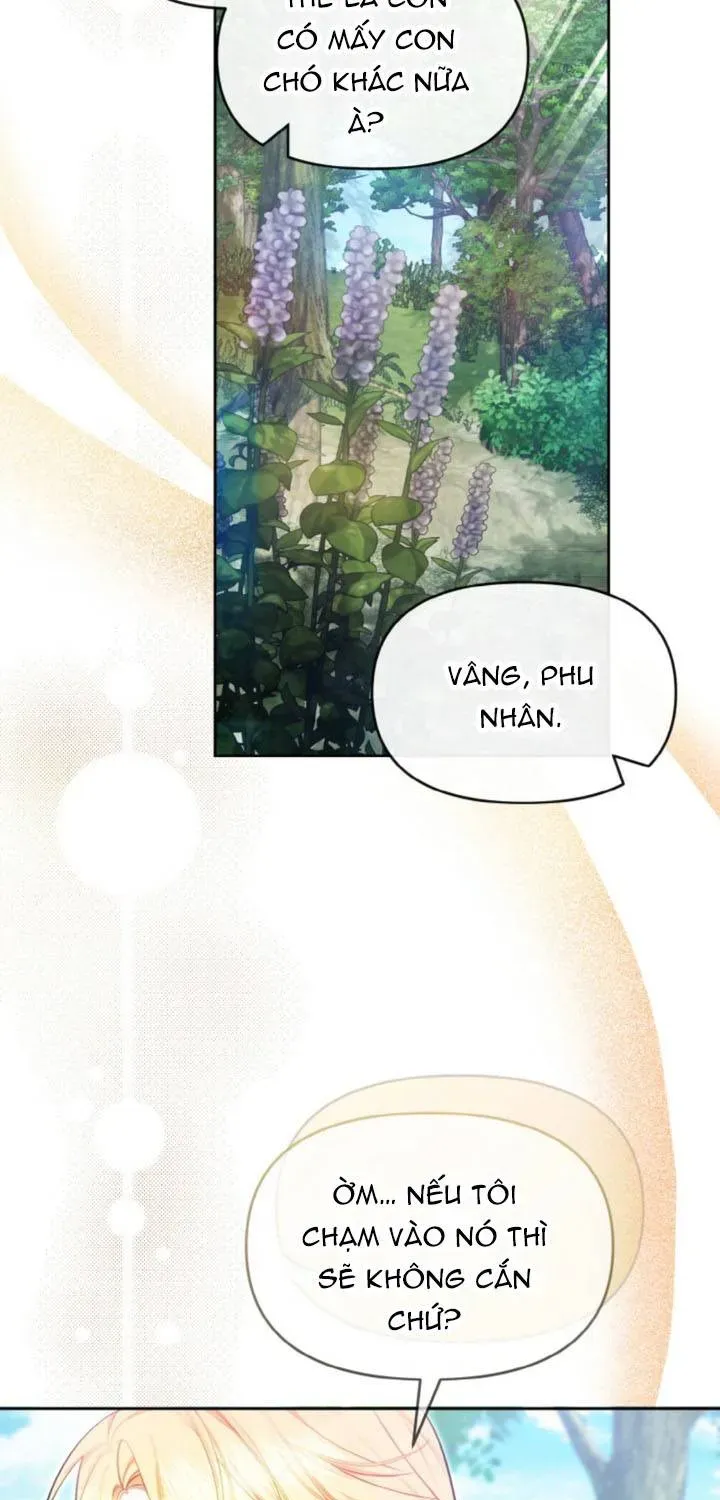 Khi Người Chồng Cũ Của Tôi Đòi Tái Hợp Chương 14 - Trang 19