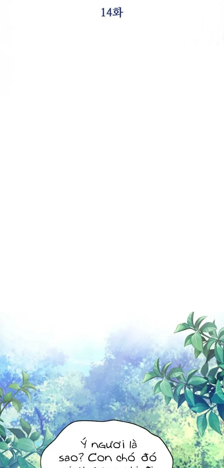 Khi Người Chồng Cũ Của Tôi Đòi Tái Hợp Chương 14 - Trang 5