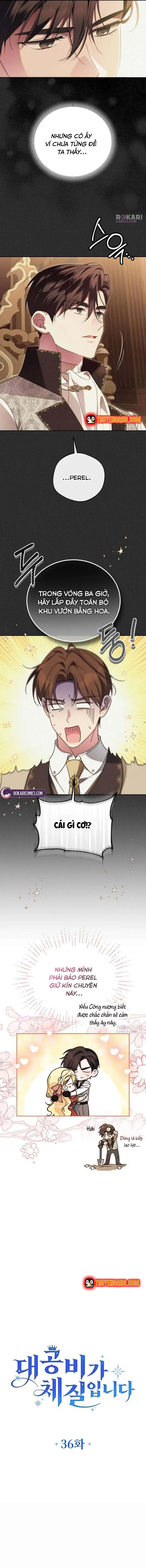 Đại Công Nương Hợp Gu Tôi Chap 36 - Next Chap 35