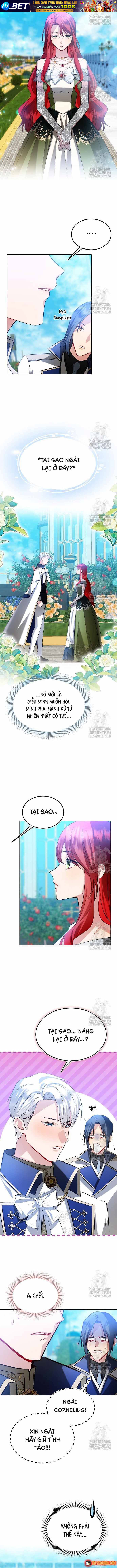 ta-da-hoa-thanh-hac-hoa-10