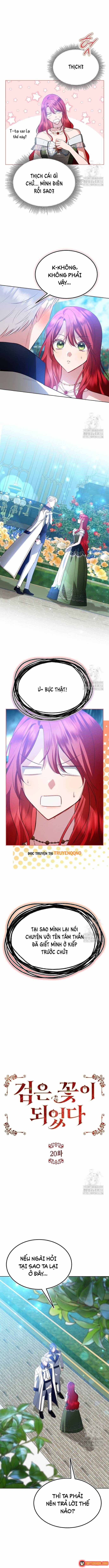 ta-da-hoa-thanh-hac-hoa-2