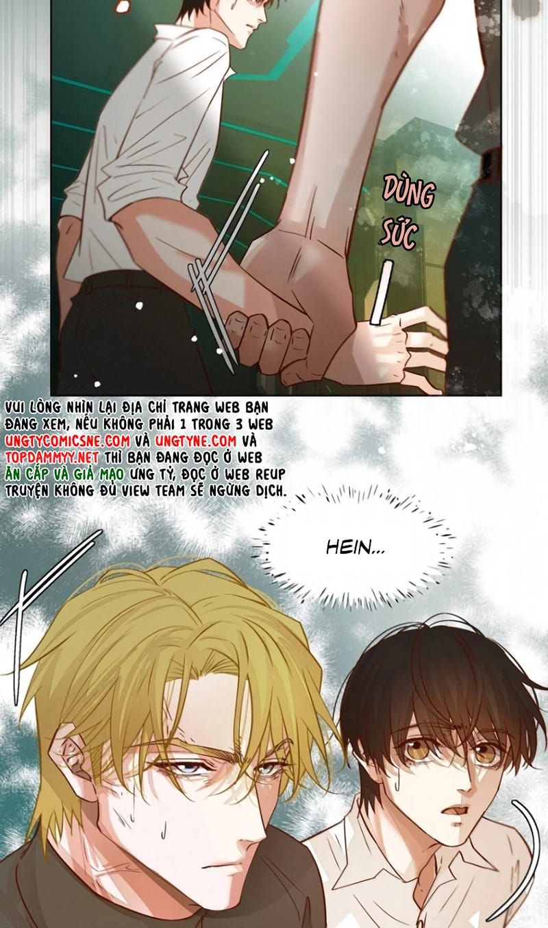 Tuyệt Xử Phùng Sinh Chap 124 - Next Chap 123