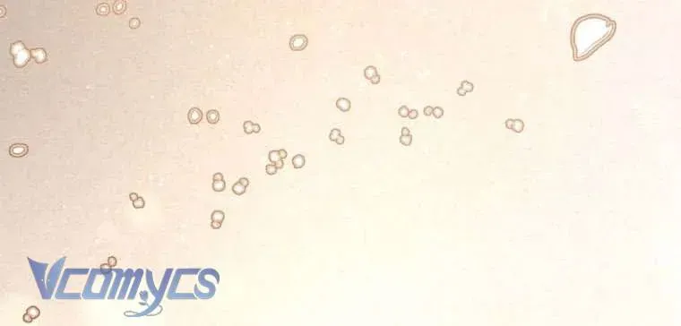 em-trai-toi-la-hoang-de-ngang-nguoc-100