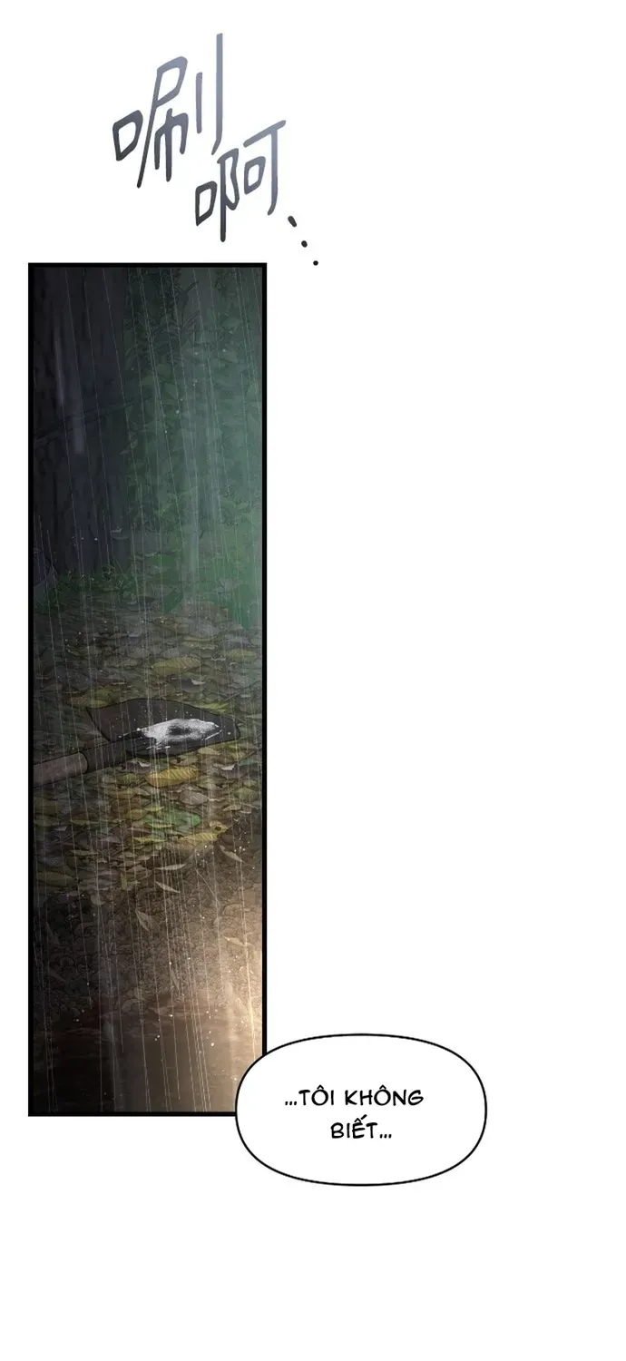 Cạm Bẫy Thanh Lịch