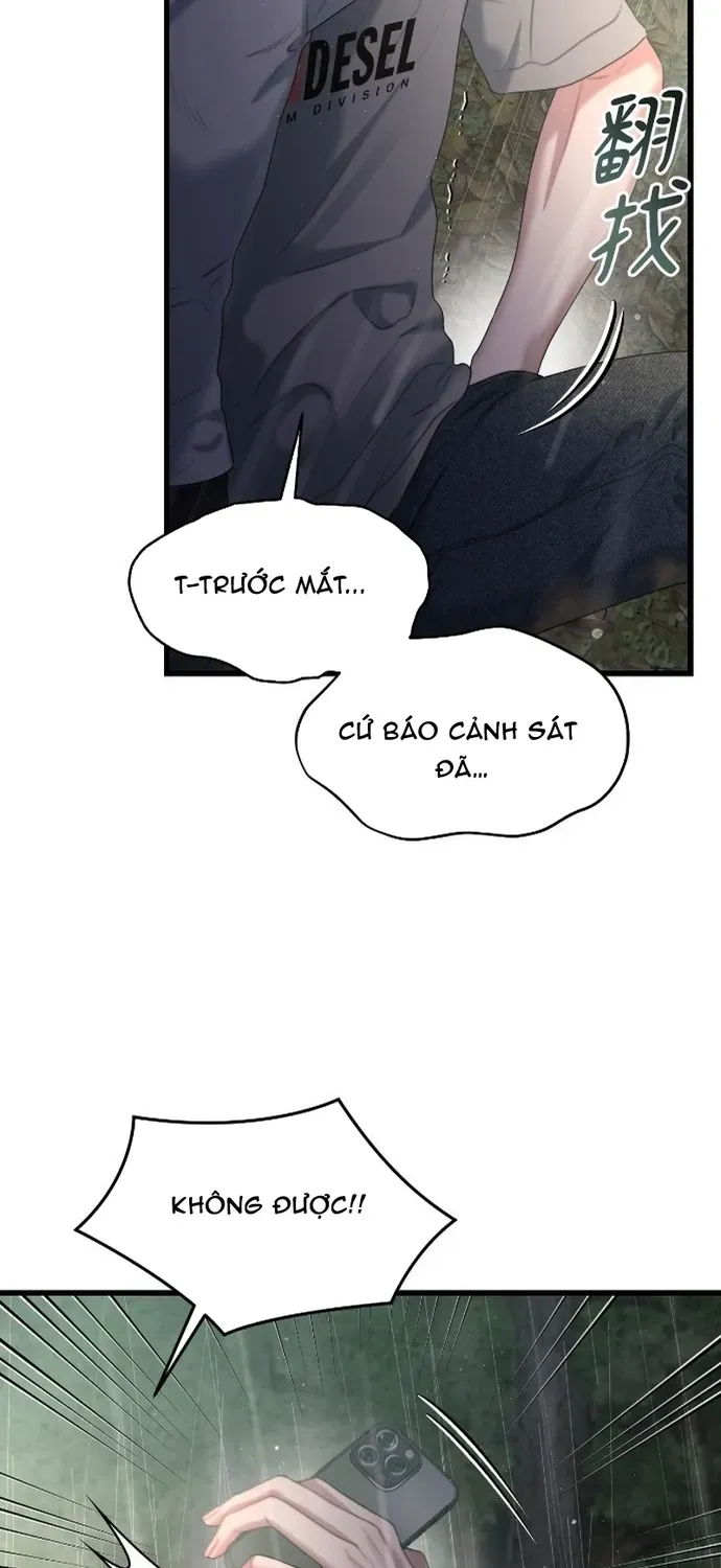 Cạm Bẫy Thanh Lịch