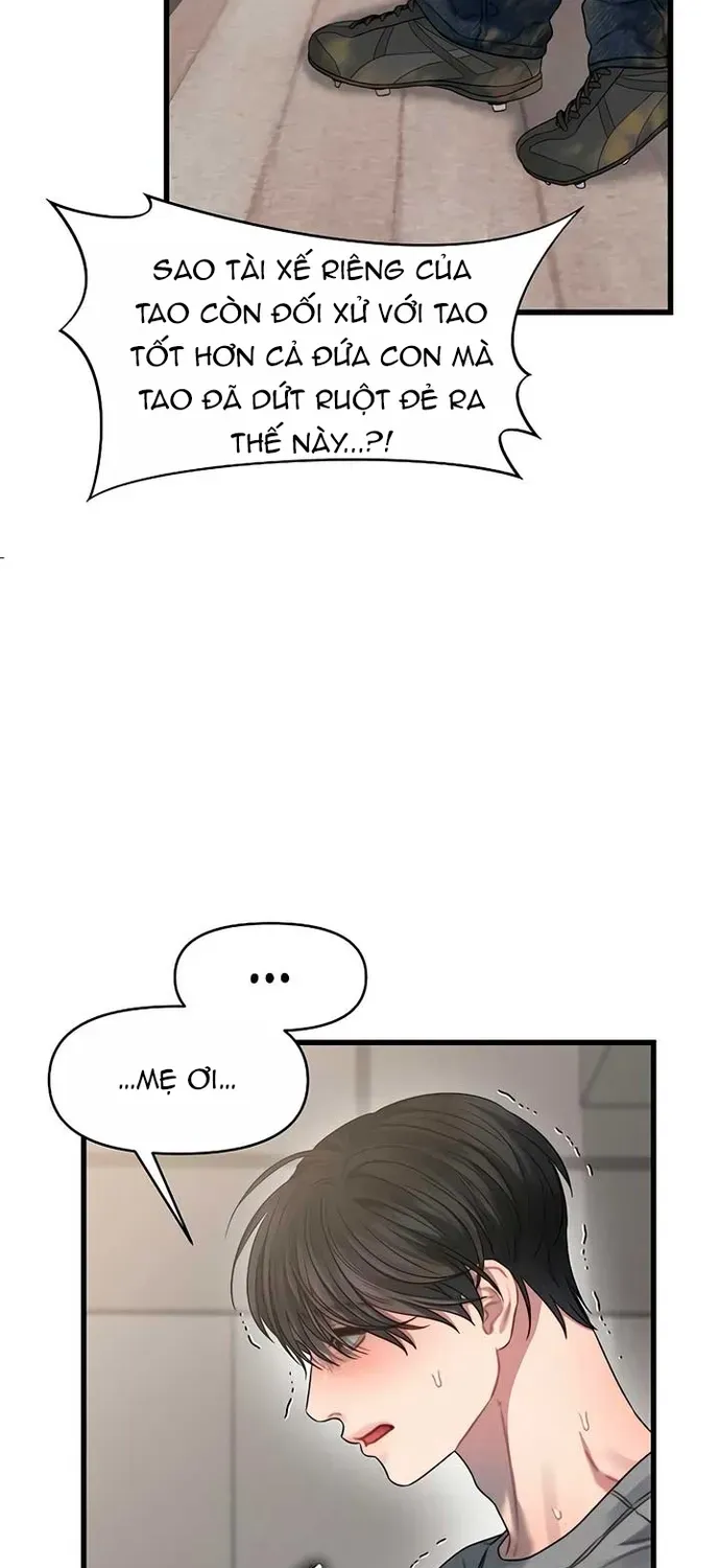 Cạm Bẫy Thanh Lịch