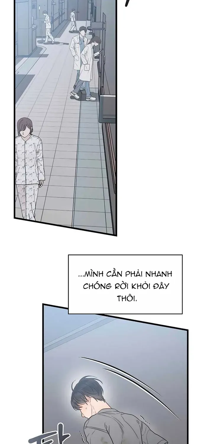 Cạm Bẫy Thanh Lịch