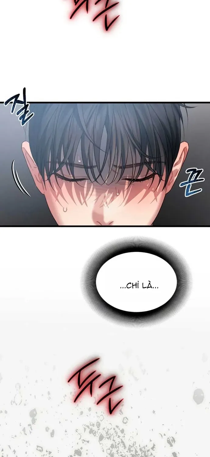 Cạm Bẫy Thanh Lịch