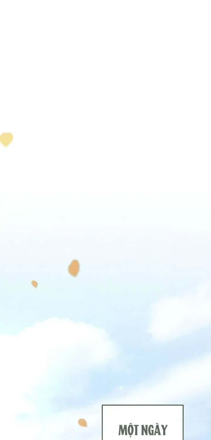 chao-mung-den-voi-dinh-thu-hoa-hong-1