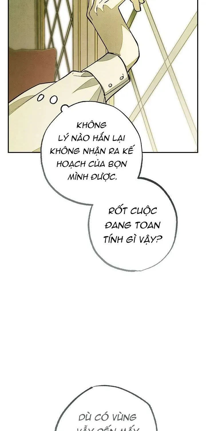 chao-mung-den-voi-dinh-thu-hoa-hong-10