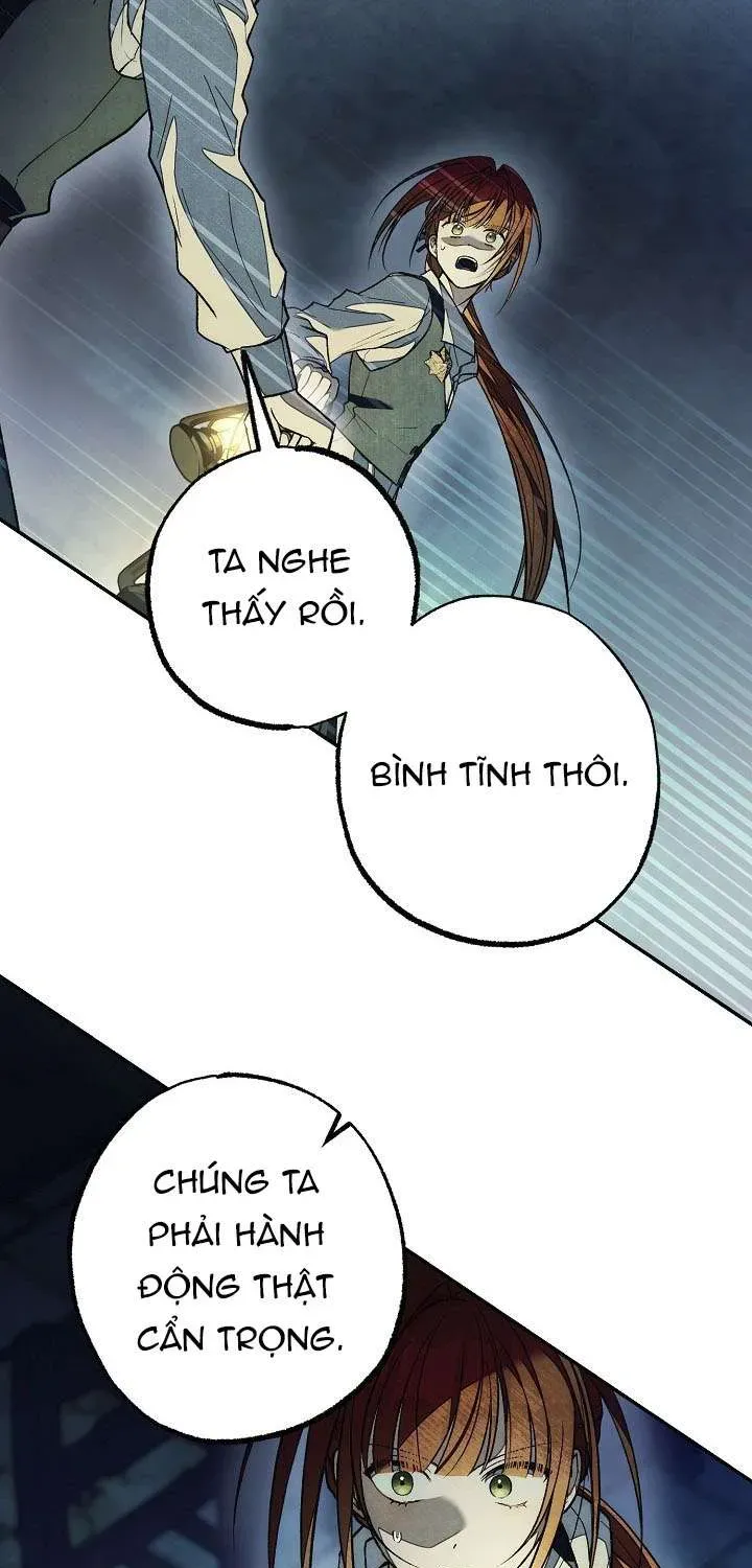 chao-mung-den-voi-dinh-thu-hoa-hong-100