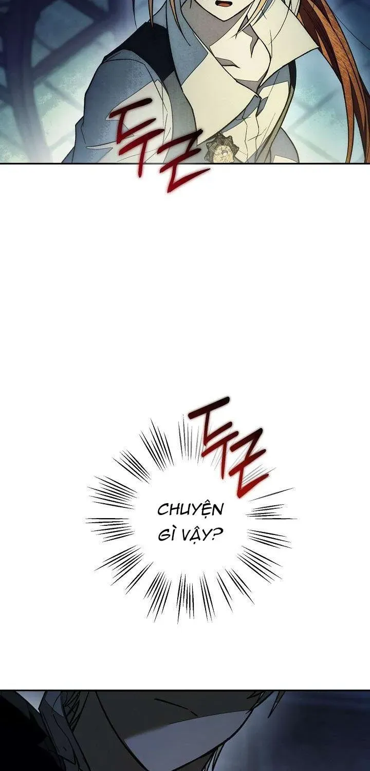 chao-mung-den-voi-dinh-thu-hoa-hong-101