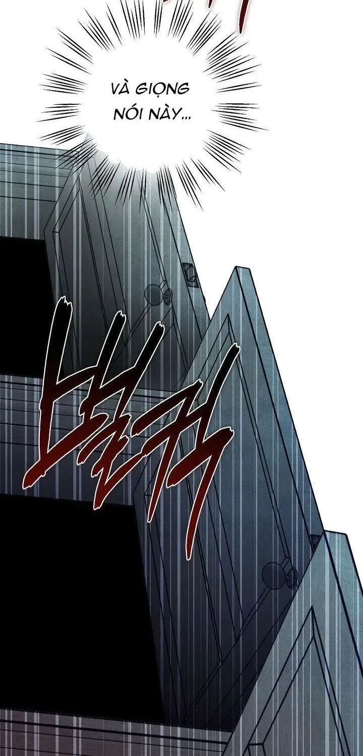 chao-mung-den-voi-dinh-thu-hoa-hong-103