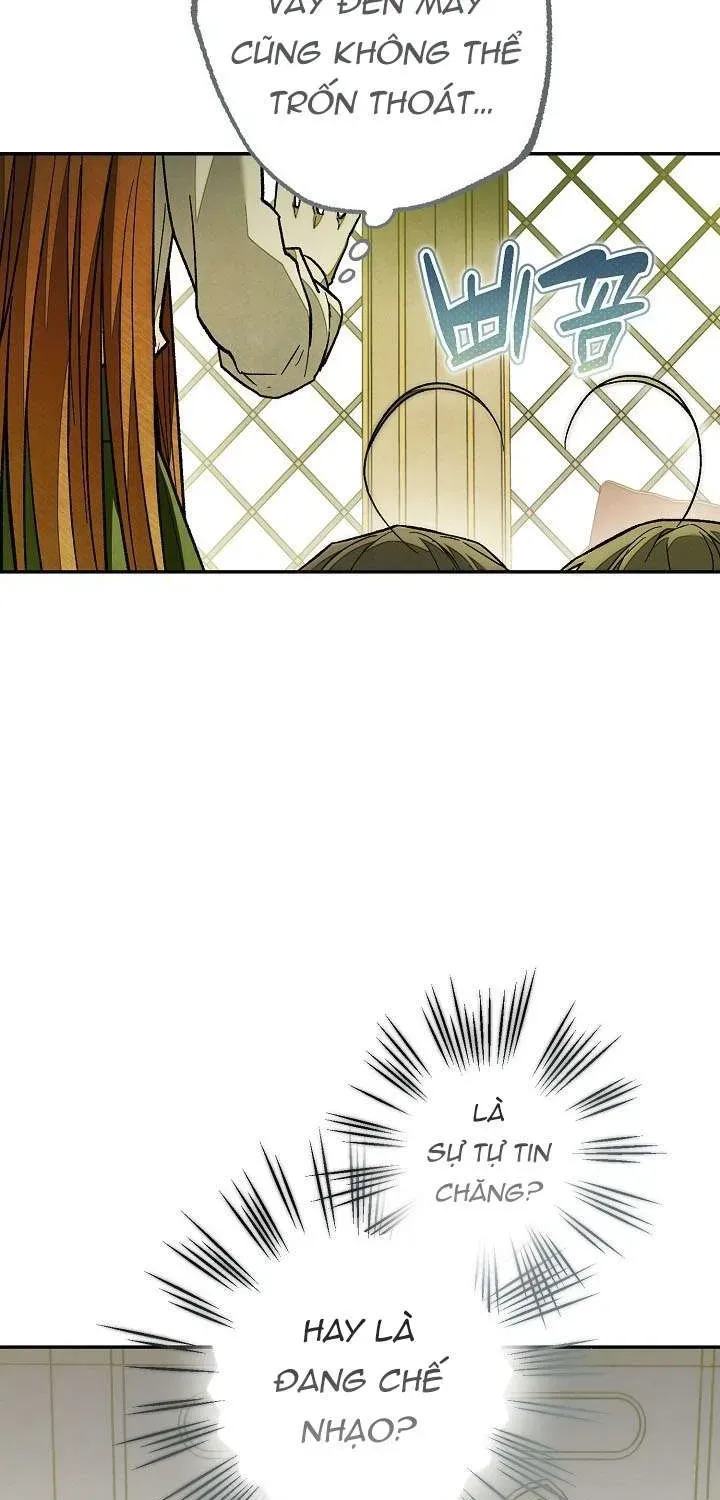 chao-mung-den-voi-dinh-thu-hoa-hong-11