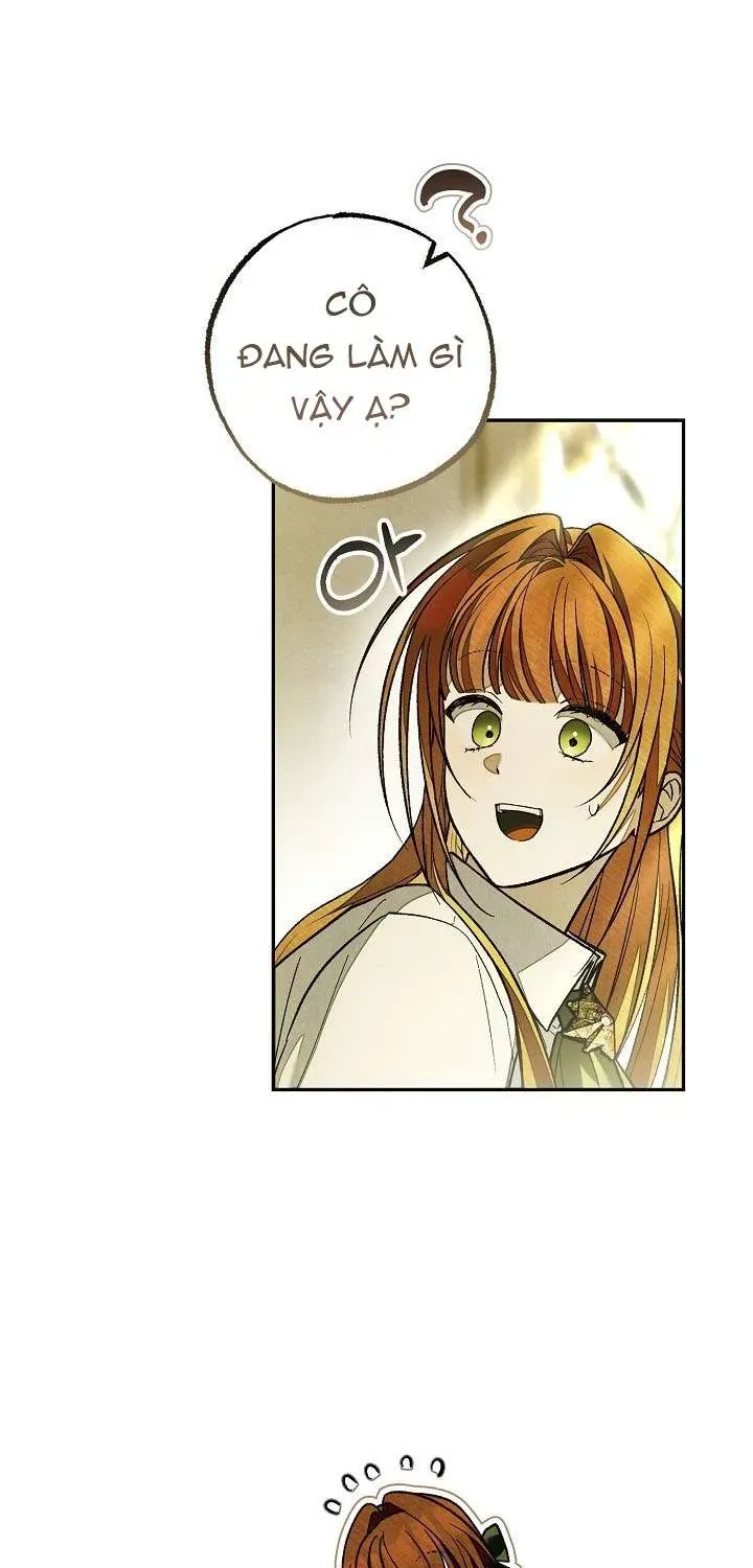 chao-mung-den-voi-dinh-thu-hoa-hong-13