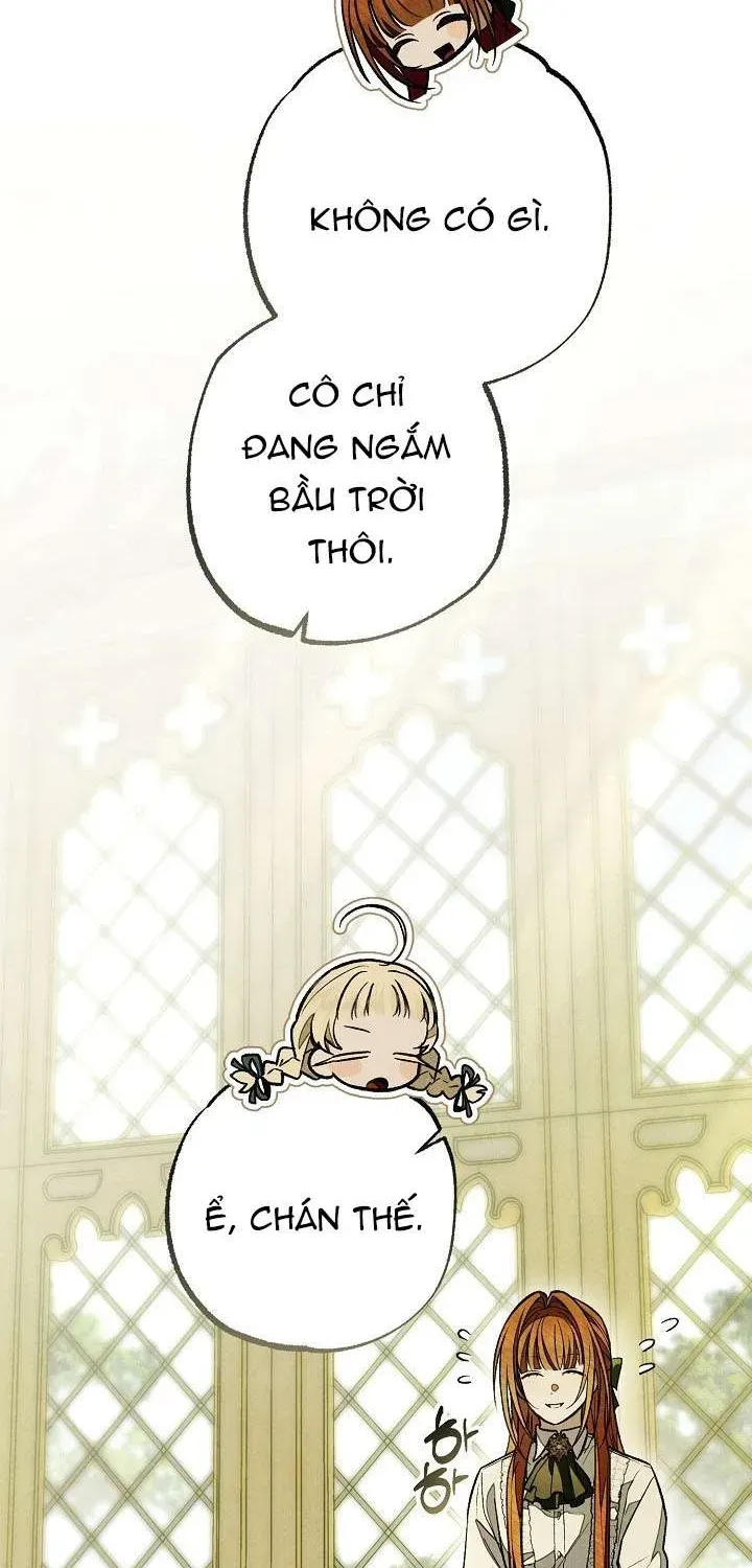 chao-mung-den-voi-dinh-thu-hoa-hong-14