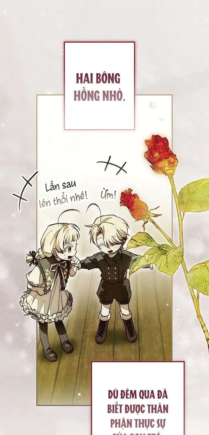 chao-mung-den-voi-dinh-thu-hoa-hong-17