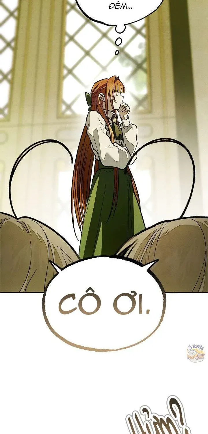 chao-mung-den-voi-dinh-thu-hoa-hong-19