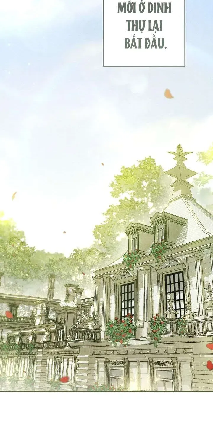 chao-mung-den-voi-dinh-thu-hoa-hong-2