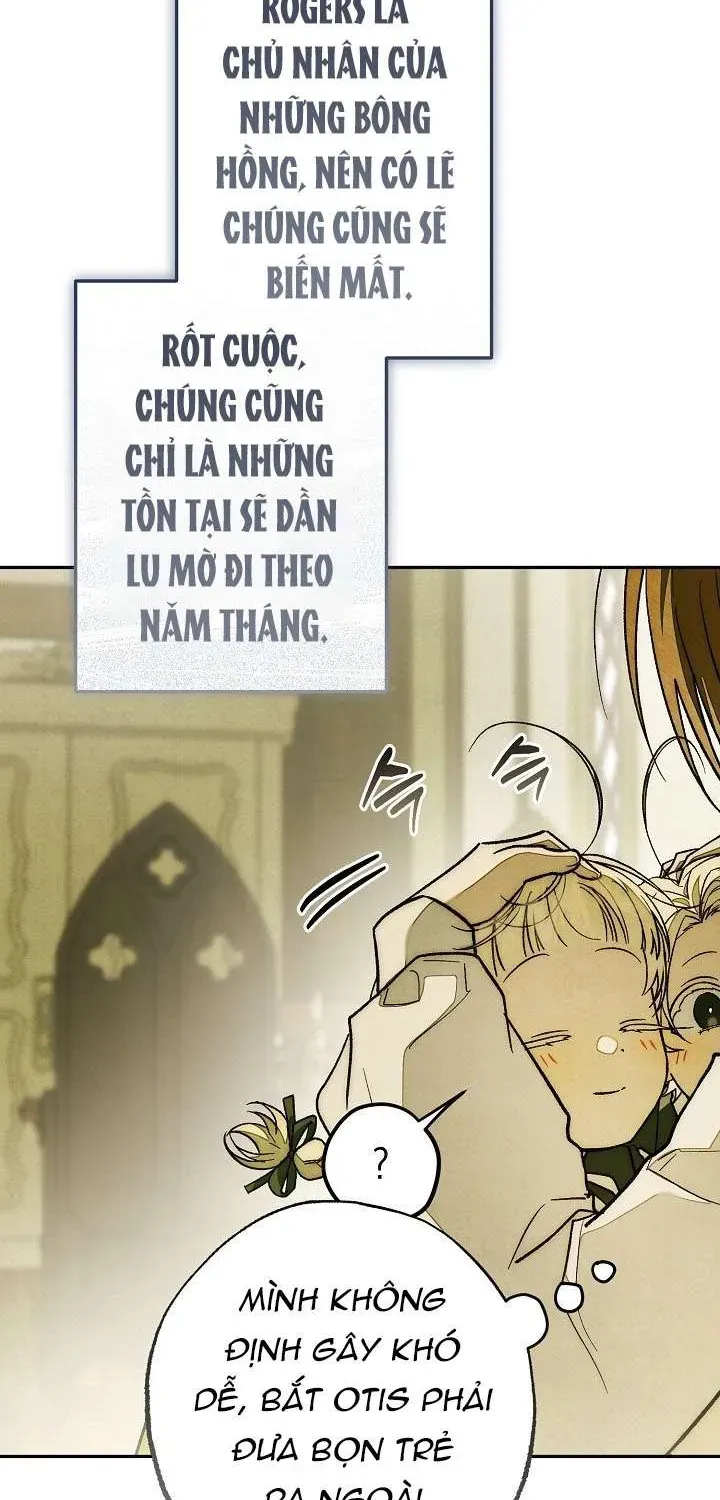 chao-mung-den-voi-dinh-thu-hoa-hong-30