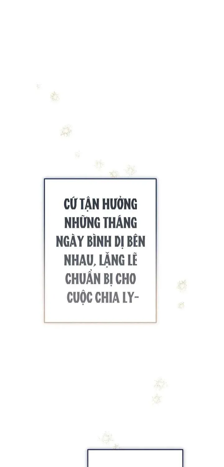 chao-mung-den-voi-dinh-thu-hoa-hong-35