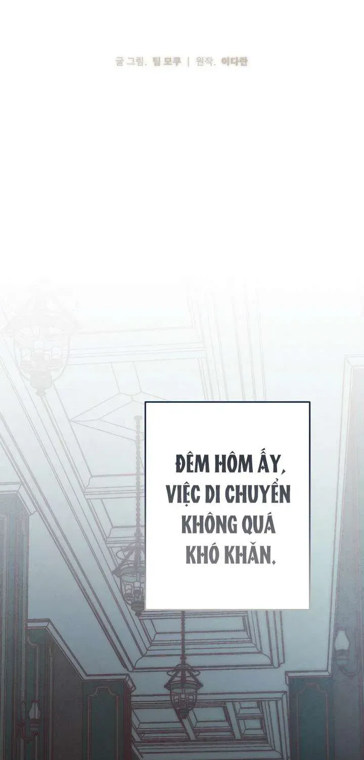 chao-mung-den-voi-dinh-thu-hoa-hong-37