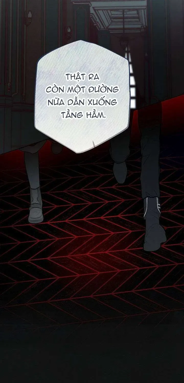 chao-mung-den-voi-dinh-thu-hoa-hong-38