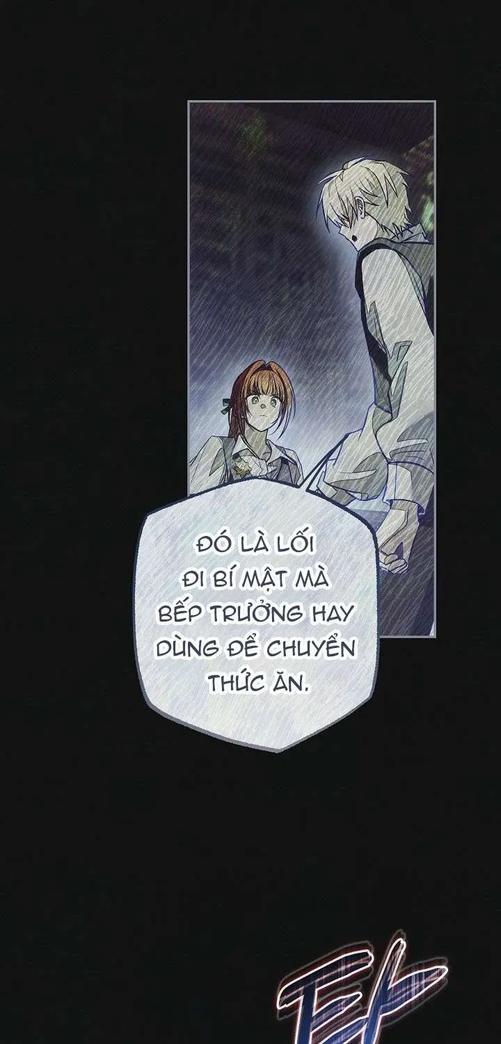 chao-mung-den-voi-dinh-thu-hoa-hong-39