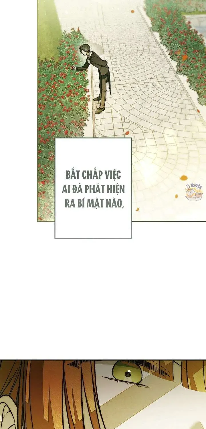 chao-mung-den-voi-dinh-thu-hoa-hong-4