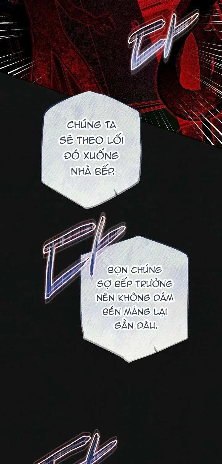chao-mung-den-voi-dinh-thu-hoa-hong-41