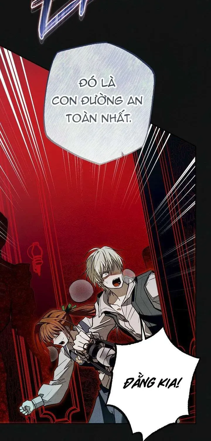 chao-mung-den-voi-dinh-thu-hoa-hong-42