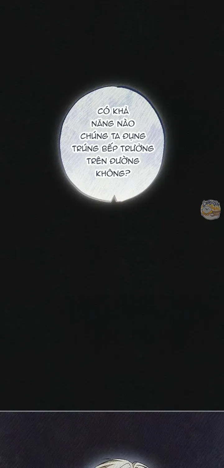 chao-mung-den-voi-dinh-thu-hoa-hong-44