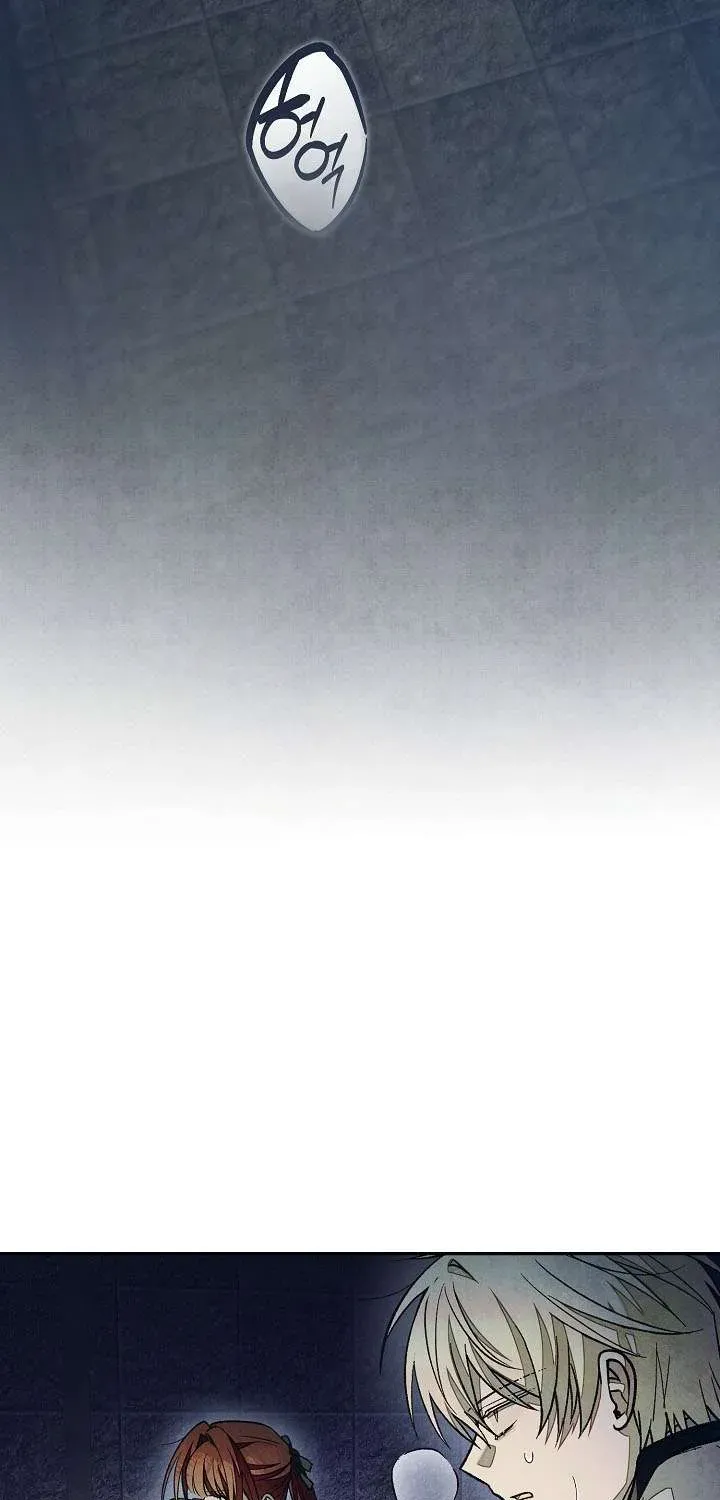 chao-mung-den-voi-dinh-thu-hoa-hong-49