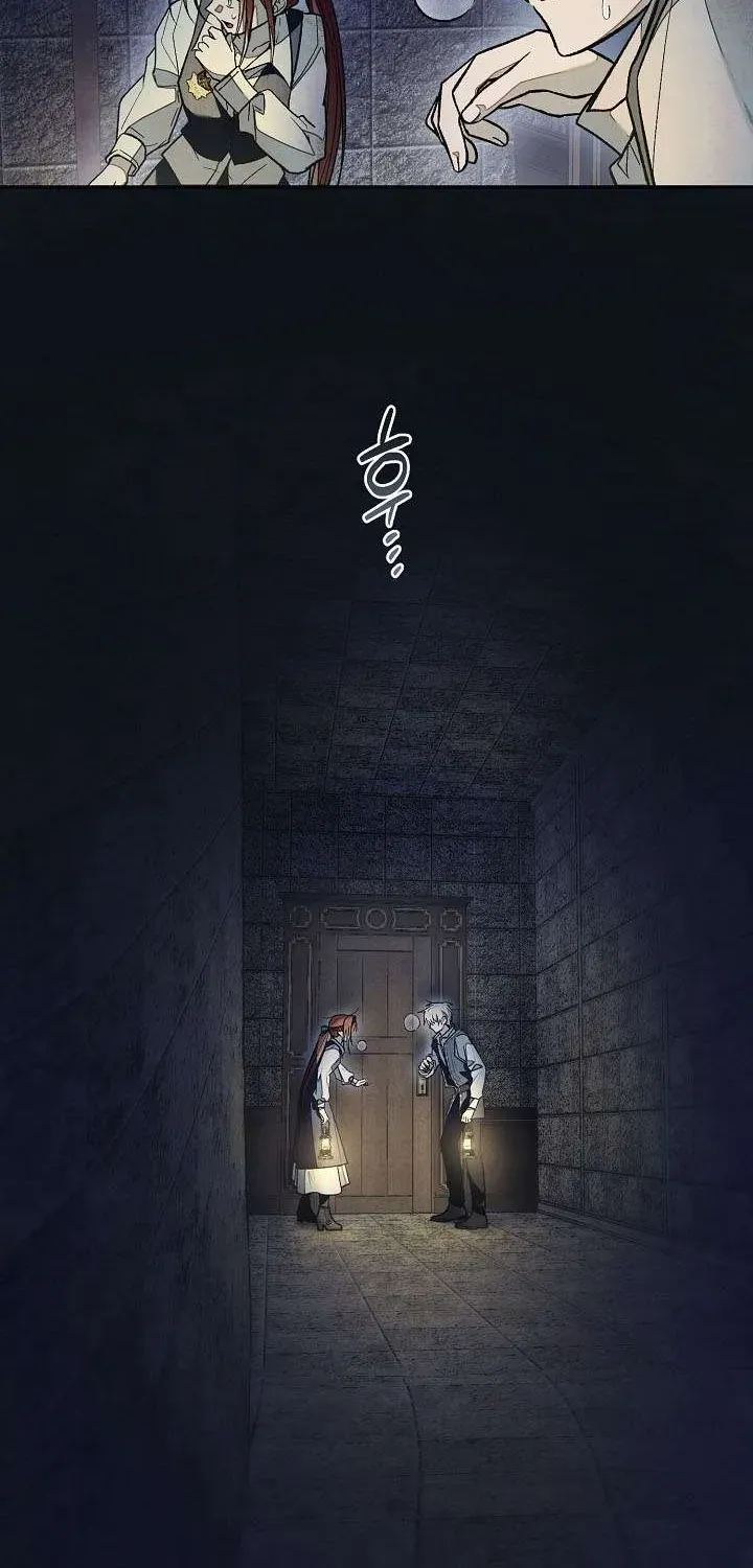 chao-mung-den-voi-dinh-thu-hoa-hong-50