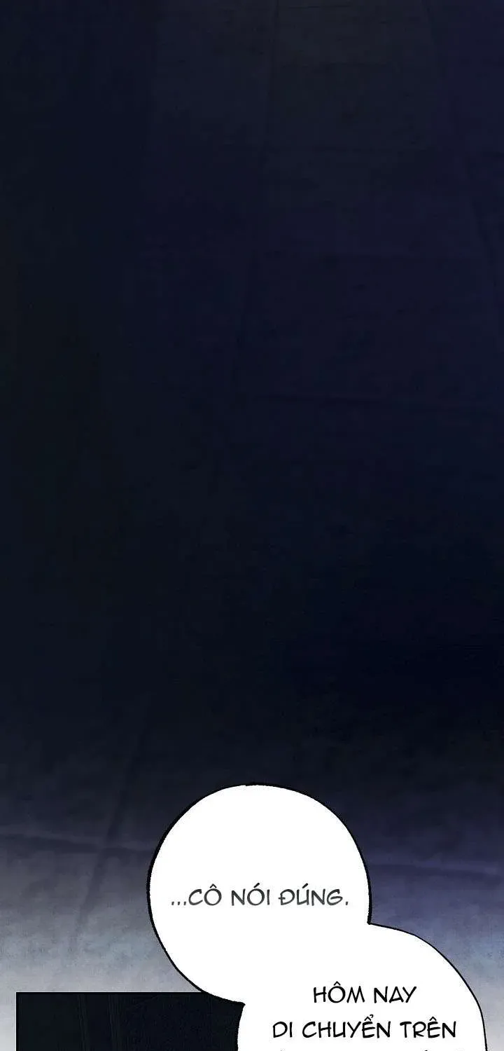 chao-mung-den-voi-dinh-thu-hoa-hong-51