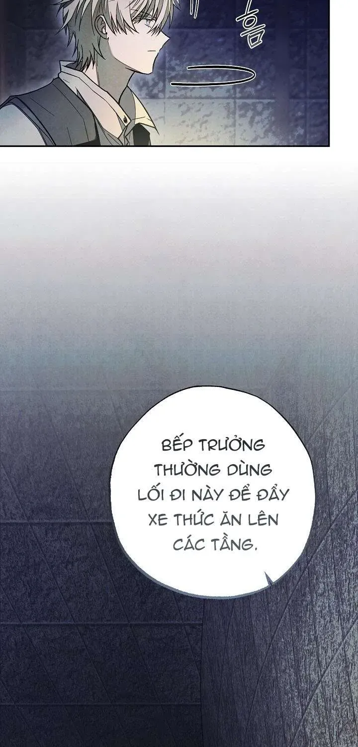 chao-mung-den-voi-dinh-thu-hoa-hong-55