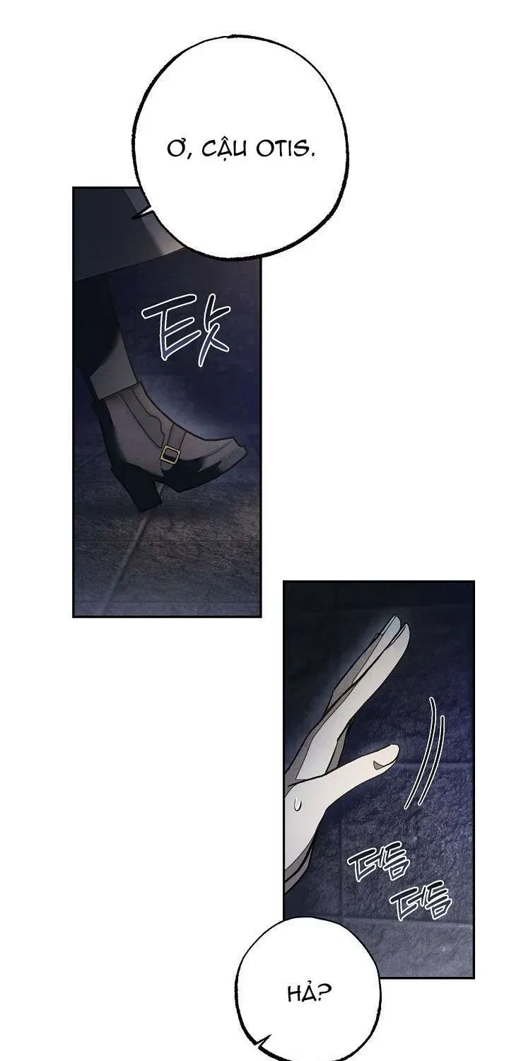 chao-mung-den-voi-dinh-thu-hoa-hong-58