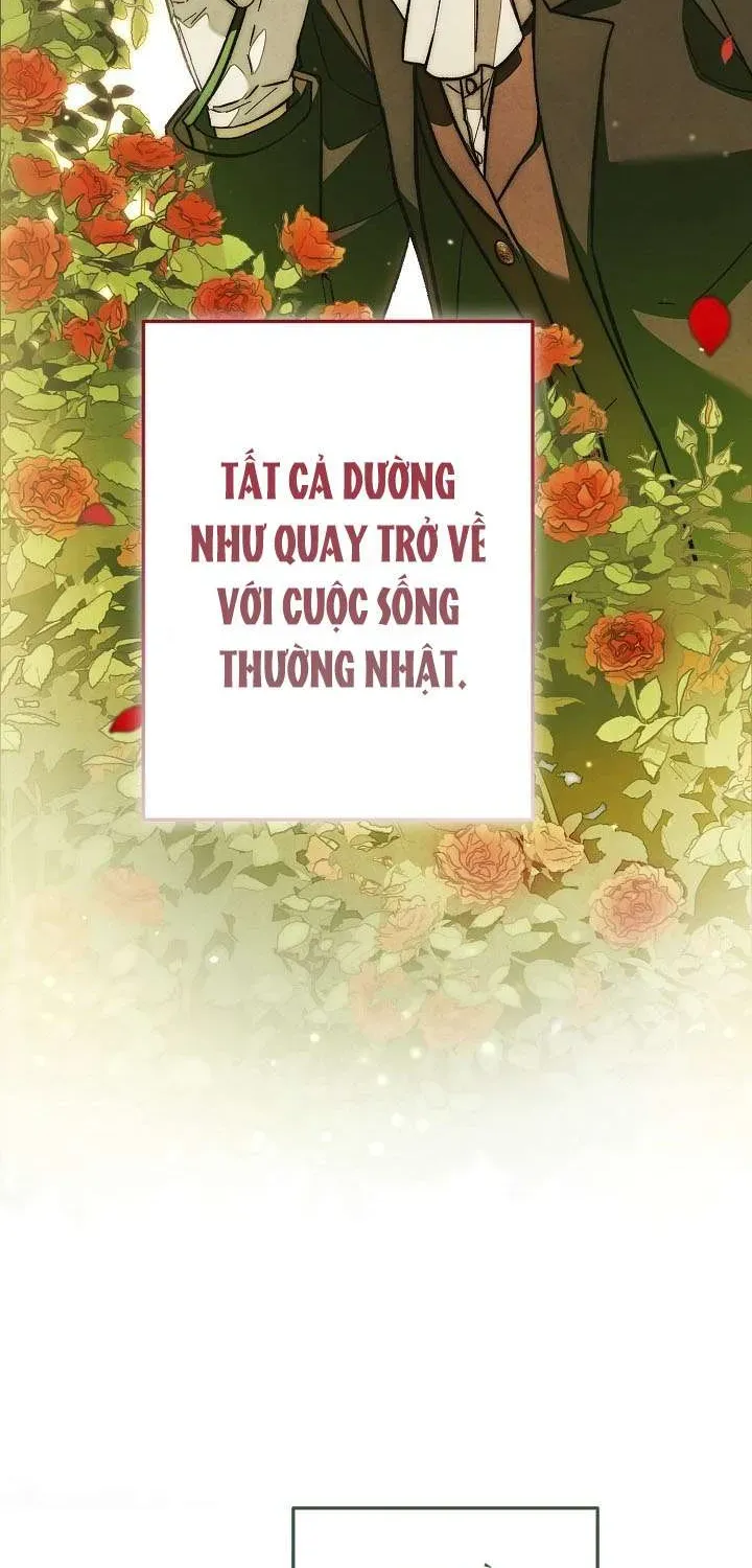 chao-mung-den-voi-dinh-thu-hoa-hong-6