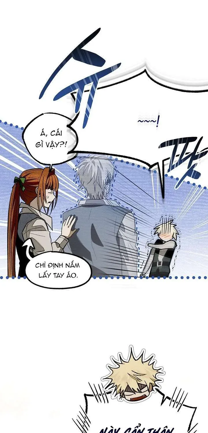 chao-mung-den-voi-dinh-thu-hoa-hong-61