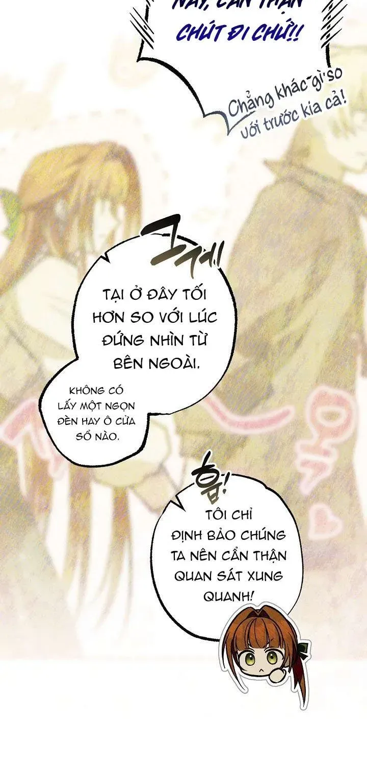 chao-mung-den-voi-dinh-thu-hoa-hong-62